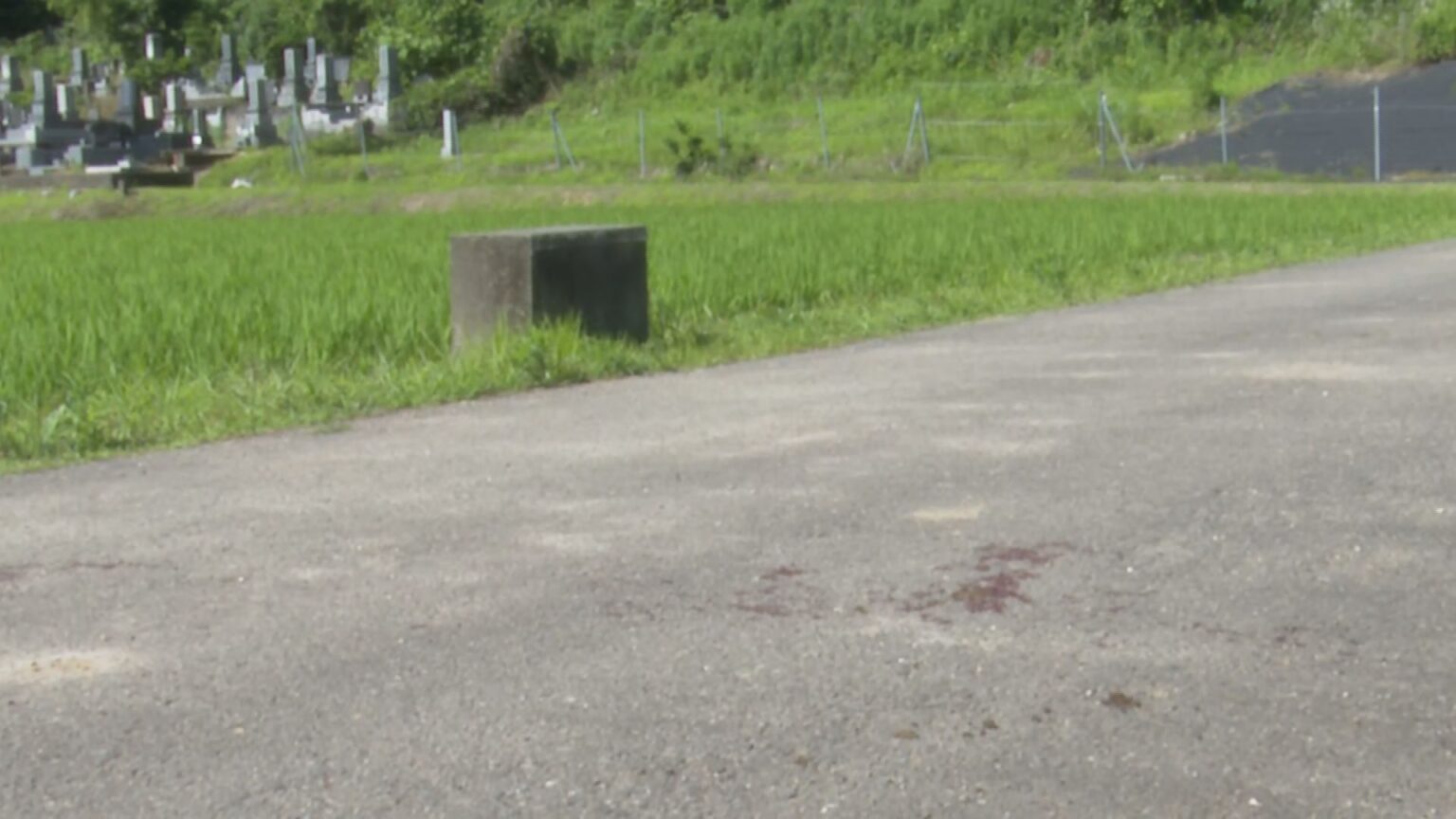 山あいの集落で80代男性がクマに襲われ大けが 石川・小松市(MRO北陸放送) – Yahoo!ニュース 山あいの集落で80代男性がクマに襲われ大けが 石川・小松市(MRO北陸放送) - Yahoo!ニュース