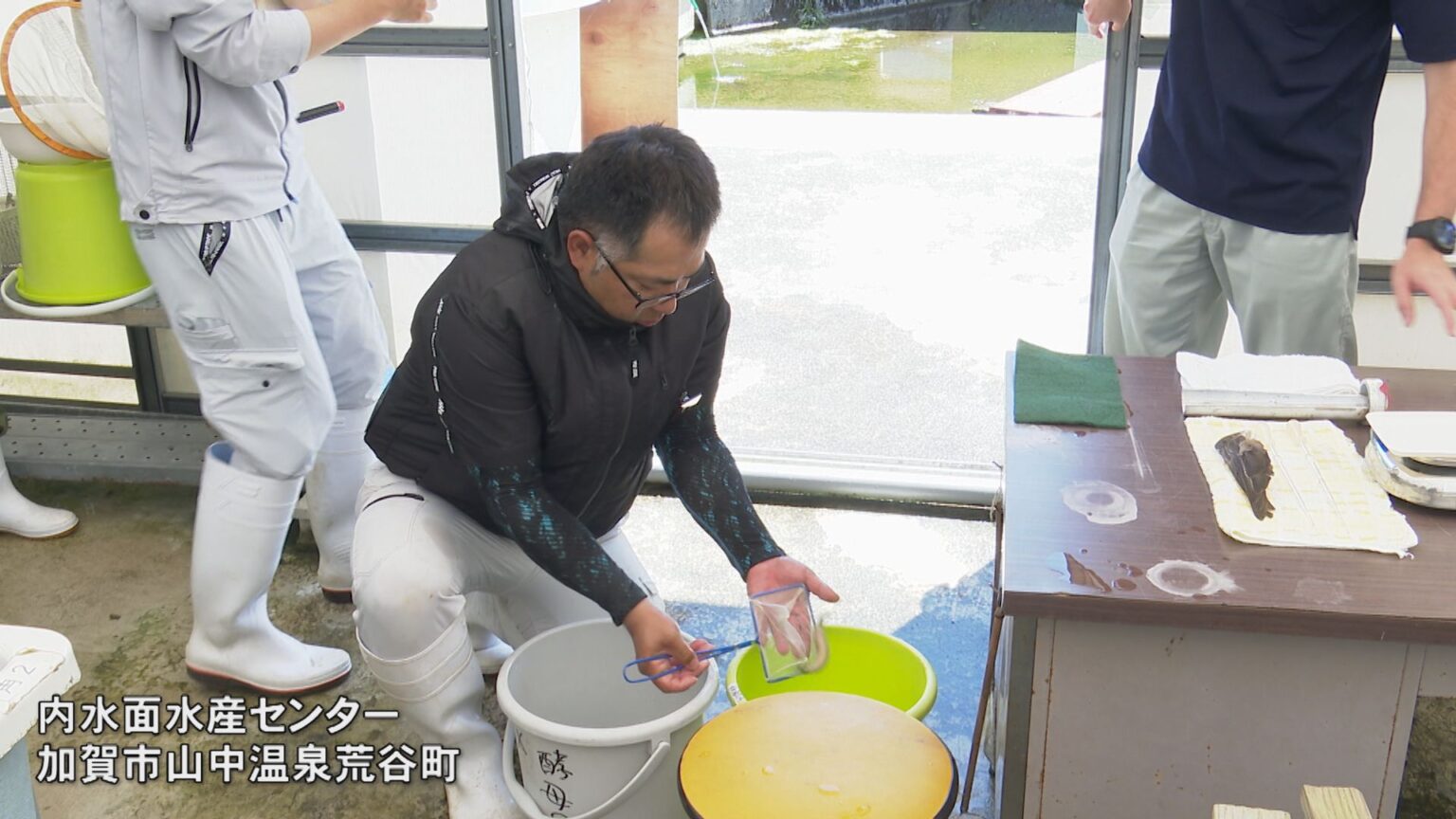 たくさん食べて!金沢名物ドジョウのかば焼き ドジョウの採卵作業ピーク(MRO北陸放送) – Yahoo!ニュース たくさん食べて!金沢名物ドジョウのかば焼き ドジョウの採卵作業ピーク(MRO北陸放送) - Yahoo!ニュース