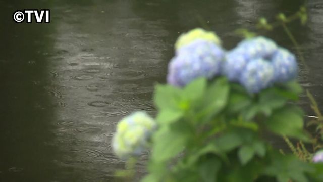 「東北北部 梅雨入りしたとみられる」 平年より6日遅く 去年より2日早い 岩手県(テレビ岩手ニュース) 「東北北部 梅雨入りしたとみられる」 平年より6日遅く 去年より2日早い 岩手県(テレビ岩手ニュース)