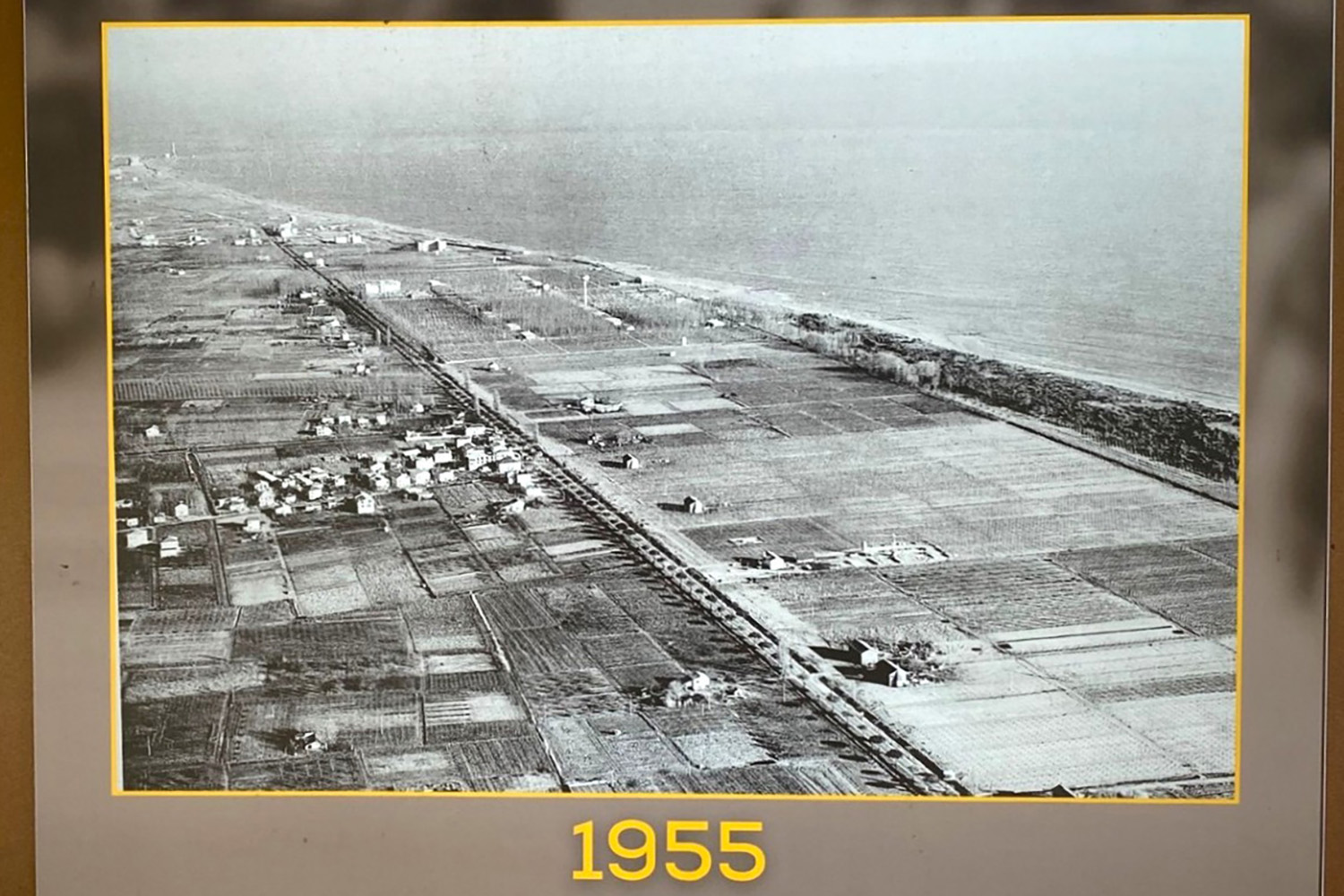 1955年当時のリゾート施設「Union Lido Mare」