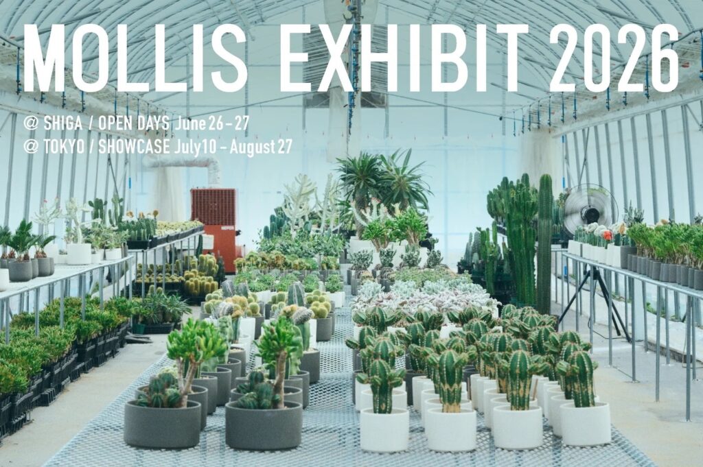 MOLLIS EXHIBIT 2026が滋賀・東京で開催。初公開の自社農園で植物の 「しぐさ」 に出会う(FINDERS) MOLLIS EXHIBIT 2026が滋賀・東京で開催。初公開の自社農園で植物の 「しぐさ」 に出会う(FINDERS)