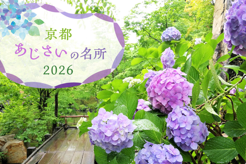 【2026】京都のあじさいの名所15選〜人気スポットから穴場まで〜 - KYOTO SIDE(キョウトサイド)