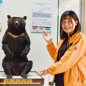 【和歌山】クマのベニー はく製展示 和歌山県立自然博物館 「社長座り」再現 | ニュース和歌山