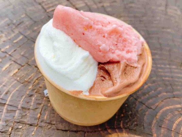 CoCoLo Gelato Market 2026