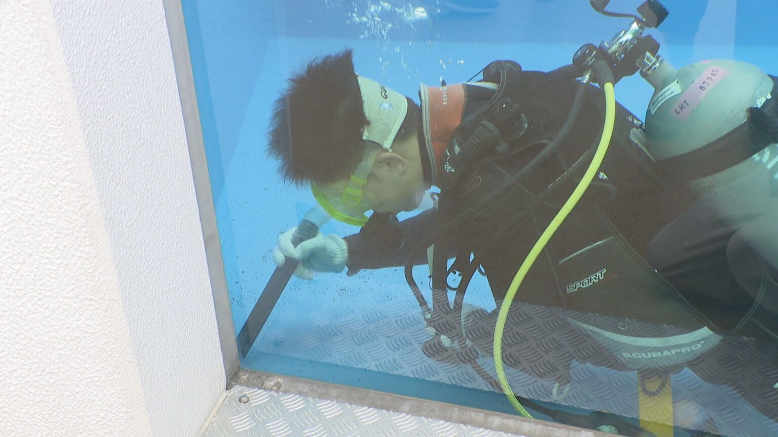 高校生が「潜水実習」でペンギンのプールを掃除　生徒「待ちに待っていた」　香川・宇多津町 | KSBニュース | KSB瀬戸内海放送