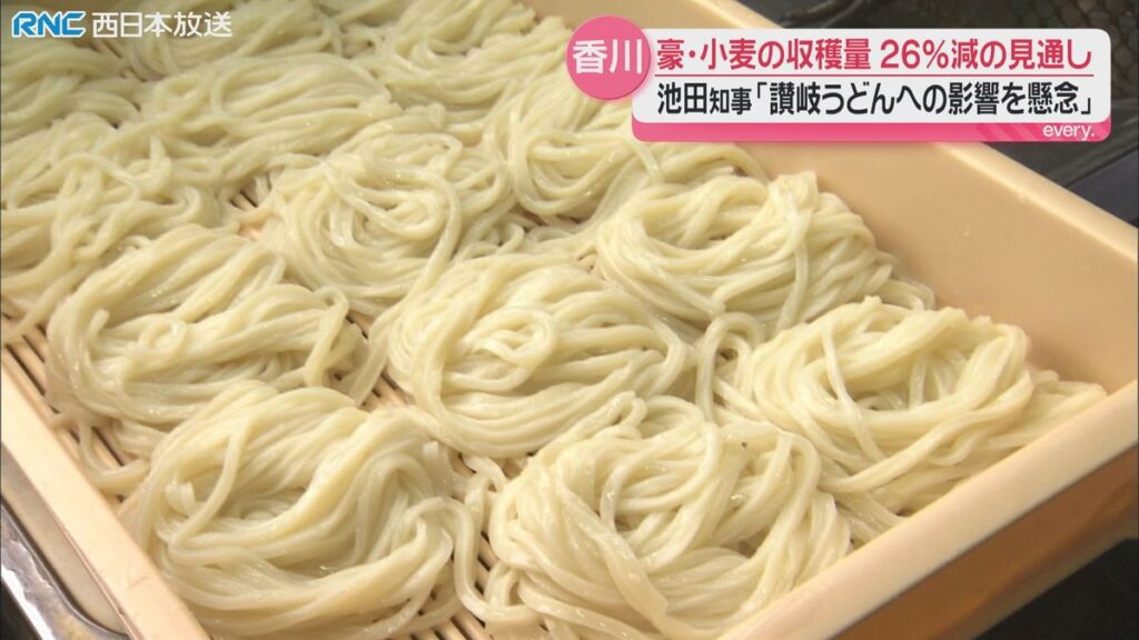 うどんにも影響が・・・オーストラリア産小麦の収穫量が大幅減へ 香川県知事も懸念示す(2026年6月8日掲載)|RNC NEWS NNN 共有