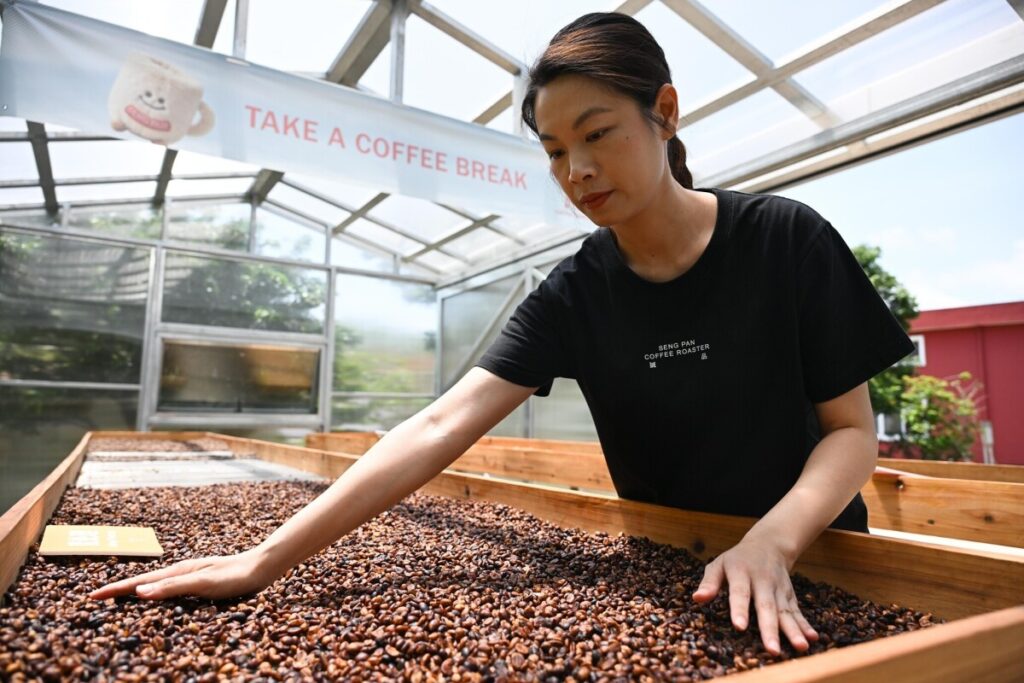 広東省江門市、華僑ネットワーク生かし「コーヒー王国」築く―中国