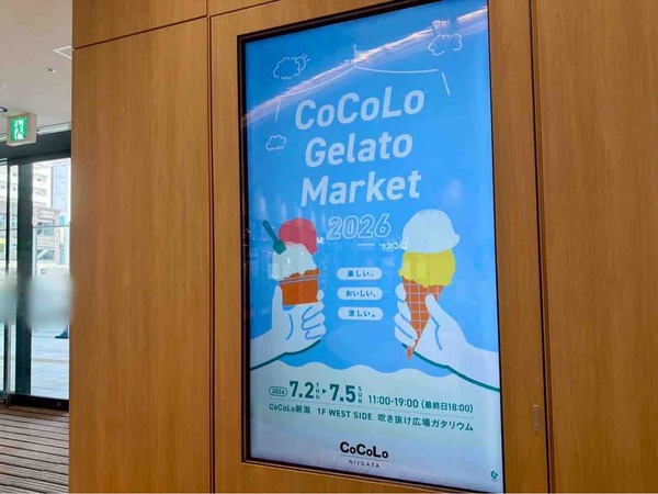 CoCoLo Gelato Market 2026