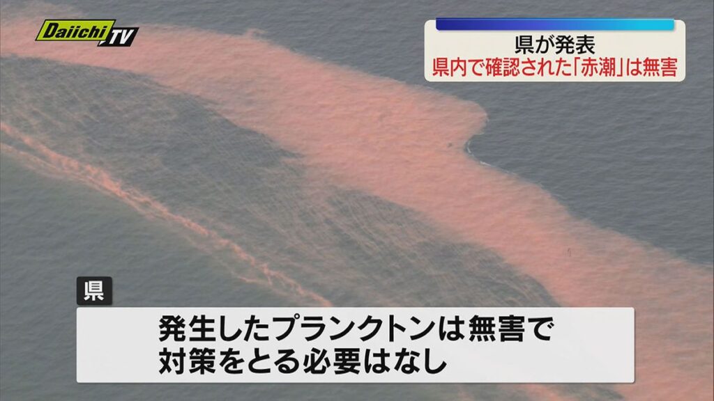 4月下旬ごろから発生していた赤潮・県は無害と発表(静岡県)(2026年6月9日掲載)|Daiichi-TV NEWS NNN 共有