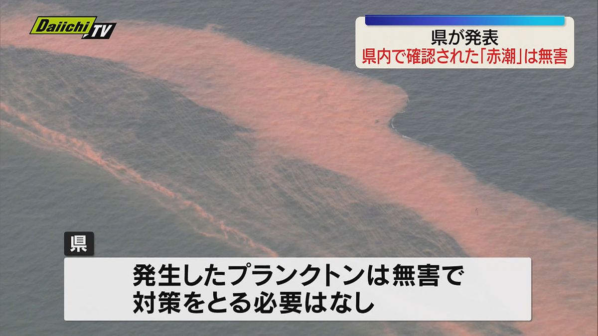 4月下旬ごろから発生していた赤潮・県は無害と発表(静岡県)