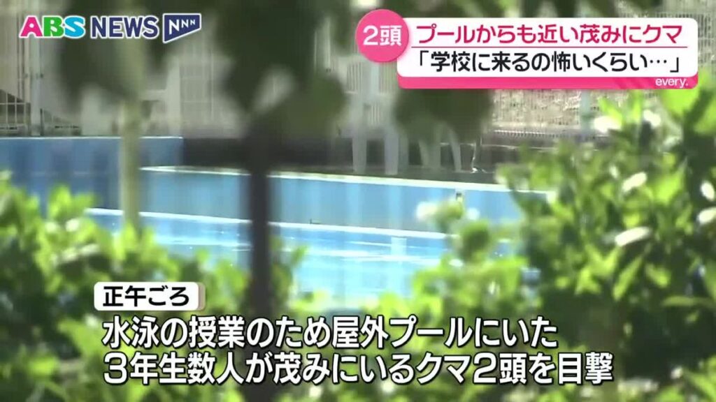 共有