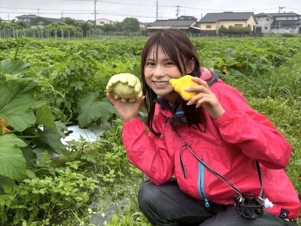 思わず3度見「UFOズッキーニ」福岡県豊前市で育つ驚きのカラフル野菜 | 無料のアプリでラジオを聴こう！ | radiko news(ラジコニュース)