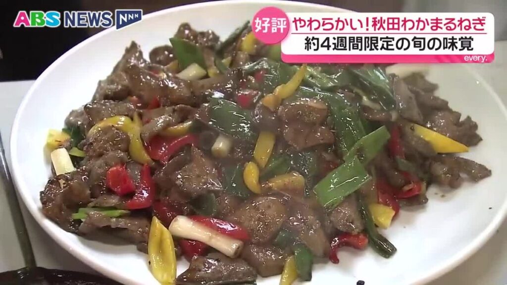 デビュー3年目「秋田わかまるねぎ」 期間限定のブランド野菜を生産者などがPR 県内外で高評価! 秋田(2026年6月19日掲載)|ABS NEWS NNN 共有
