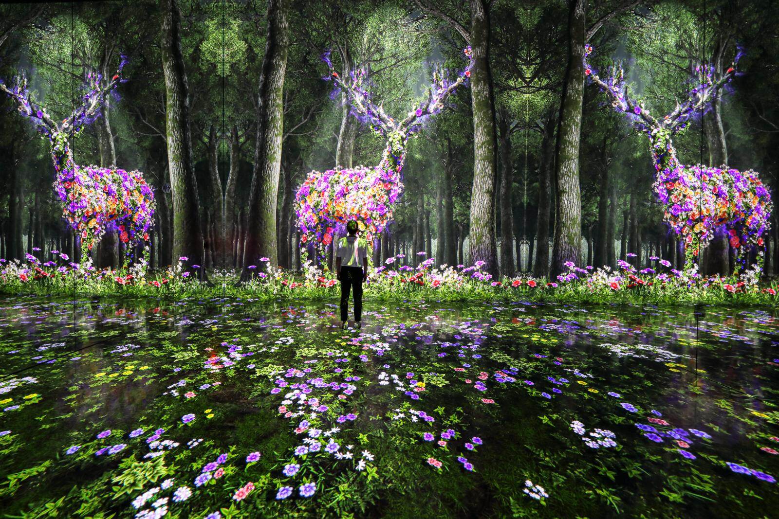 FOREST(カンヌン) ※画像はイメージ、「アルテミュージアム 名古屋」で展示予定の内容とは異なる