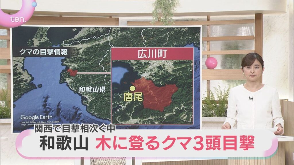 共有