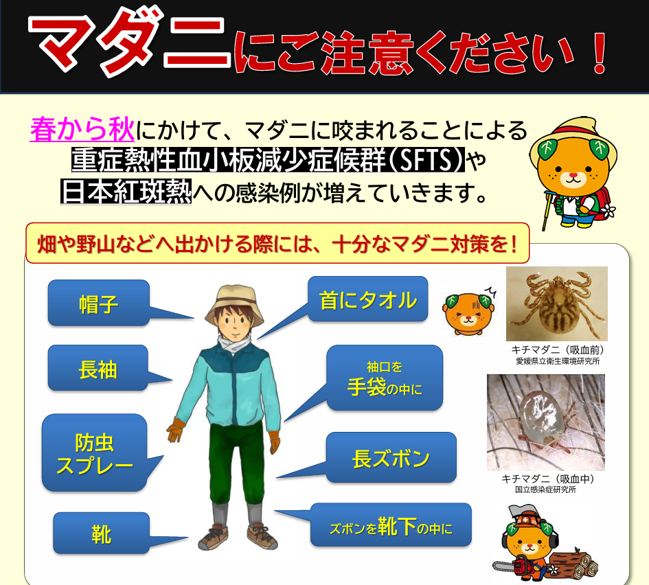 マダニ媒介の「日本紅斑熱」に感染し80代女性が死亡 今年2人目の死者、県が注意喚起【愛媛】