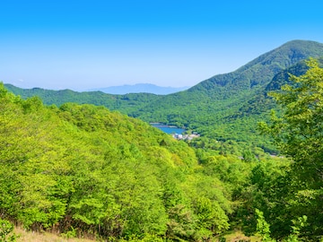 好き&行ってみたい「群馬県の森林浴スポット」ランキング! 2位「赤城山」、1位は?【2025年調査】