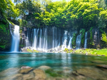好き&行ってみたい「静岡県の森林浴スポット」ランキング! 2位「白糸の滝」を抑えた1位は?【2025年調査】