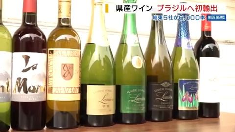 県産ワインをブラジルに共同輸出 ワイナリー5社が6000本 販路拡大に期待 山梨