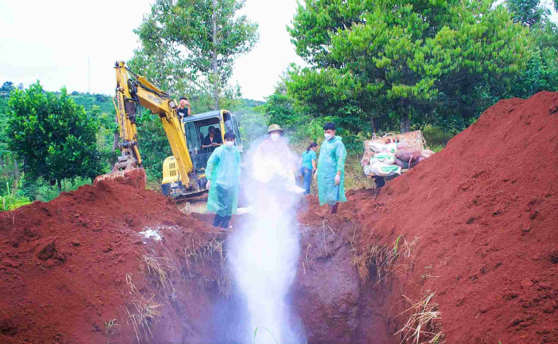 Trước đó, vào ngày 18.6, cơ quan chức năng ghi nhận ổ dịch tả lợn châu Phi tại phường Đông Gia Nghĩa. Ảnh: Phúc Khánh 