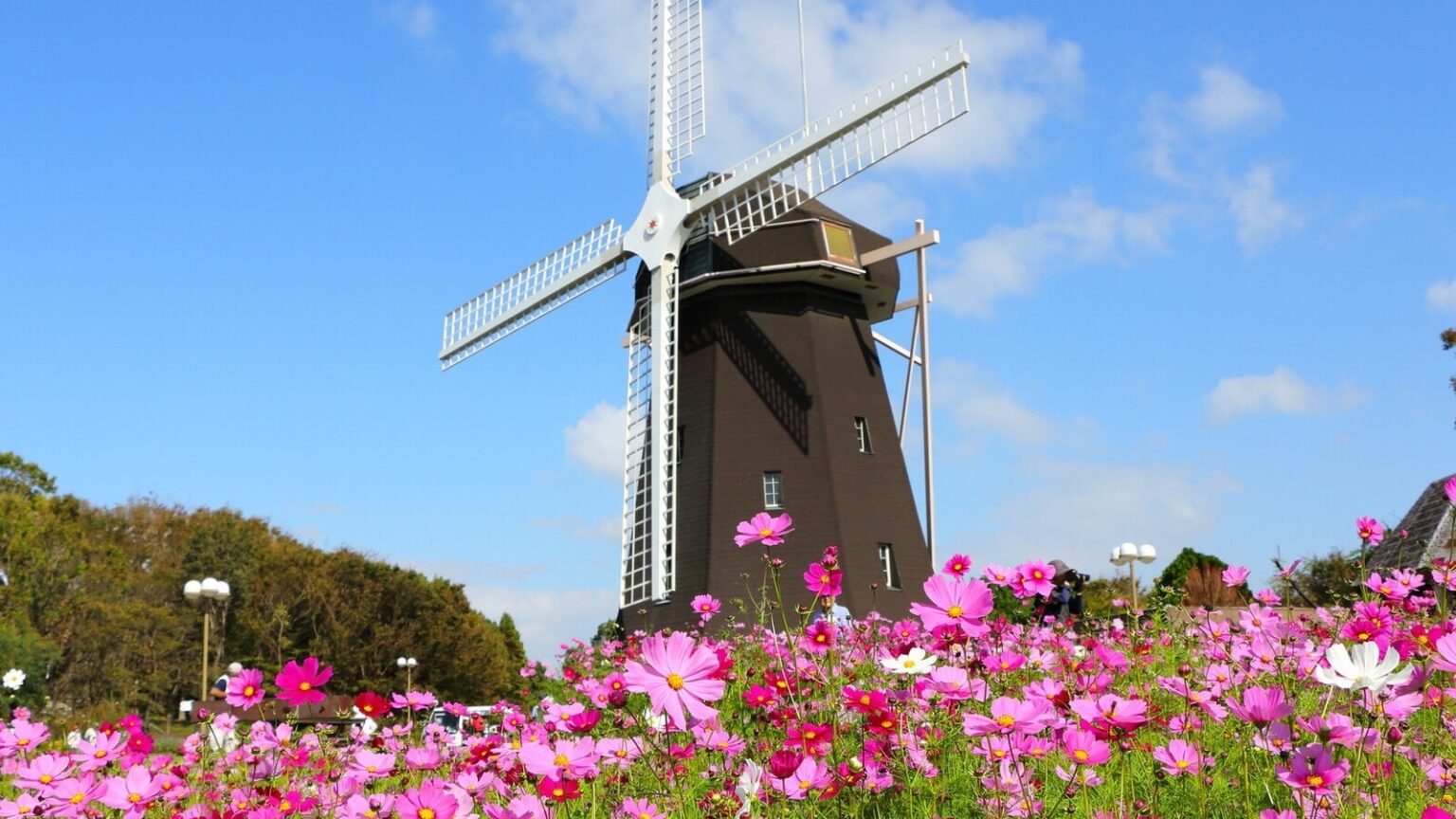 【大阪府】すべて入園無料！ 122haの花博跡地から野鳥観察まで……1日遊べる東部エリアの大型公園3選 - All About ニュース
