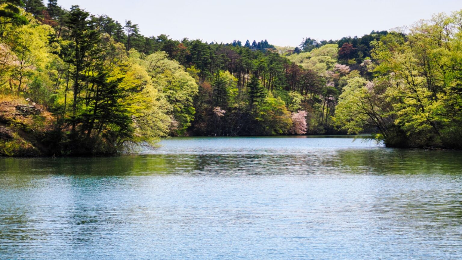 【宮城県】すべて入場無料！ 103haの自然公園から子どもに大人気の遊具広場まで…仙台市の大型公園3選 - All About ニュース