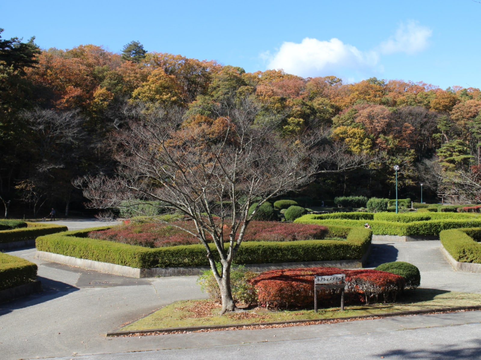 台原森林公園