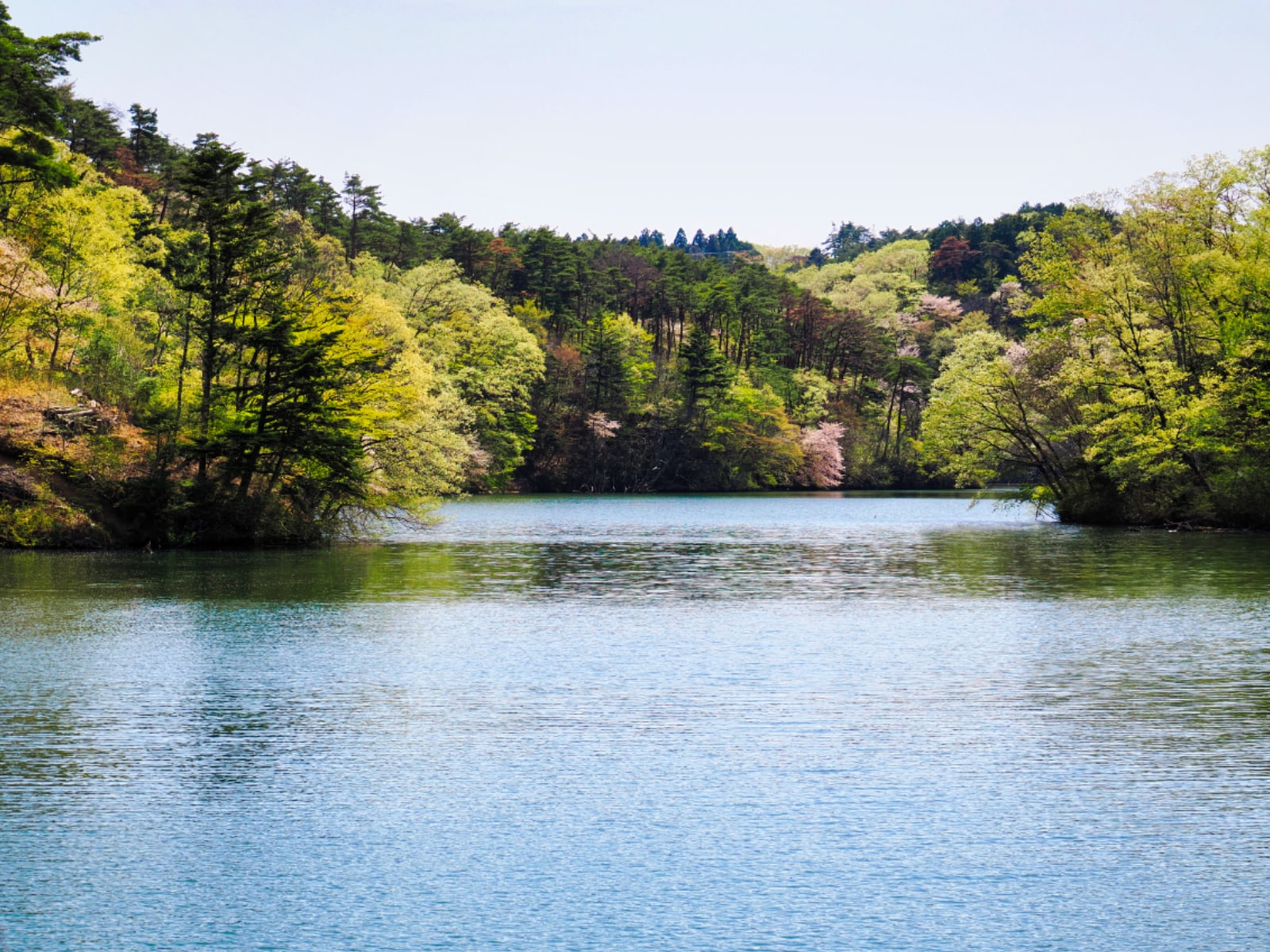 水の森公園