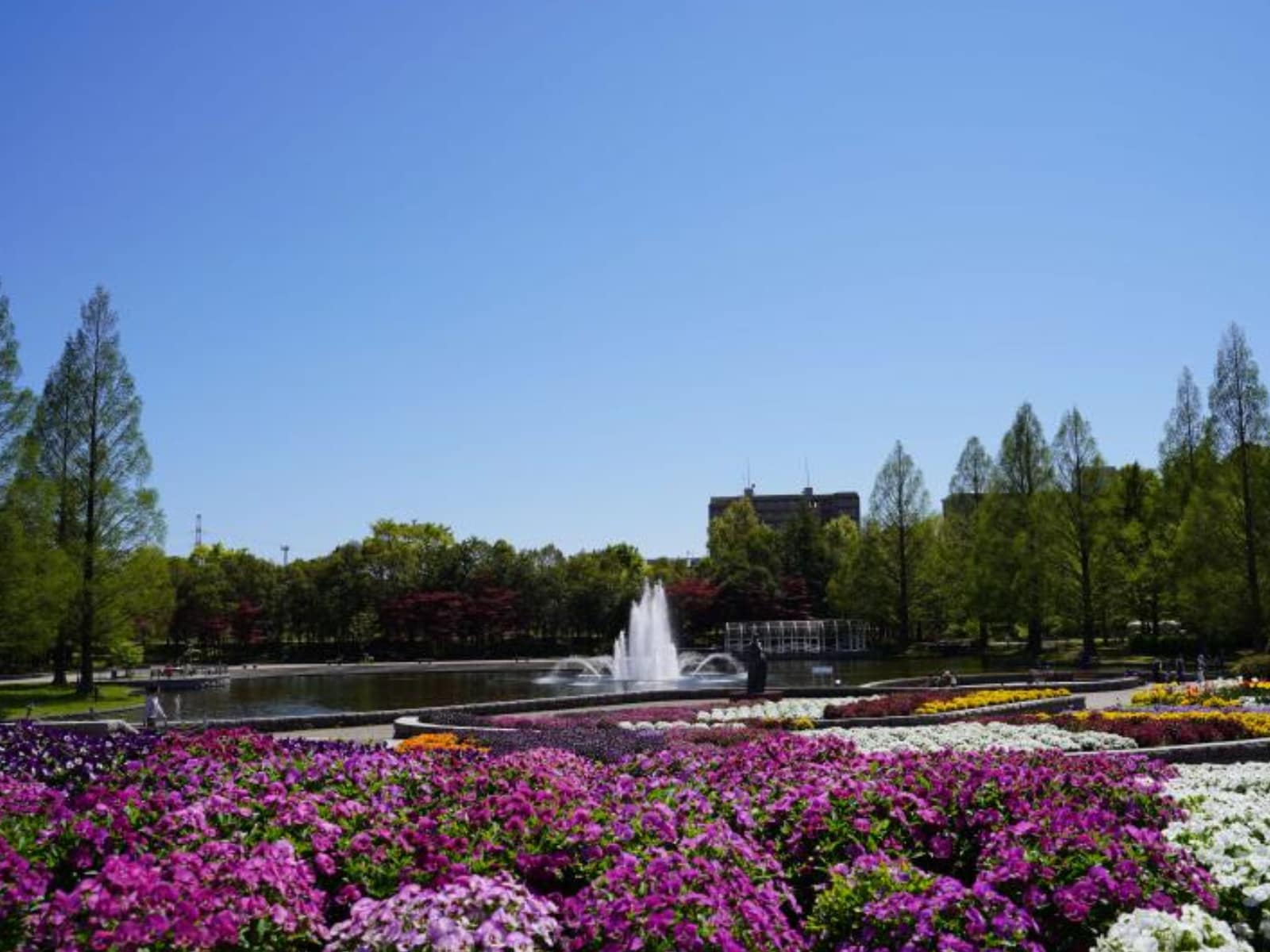 やまいちサステナパーク七北田公園