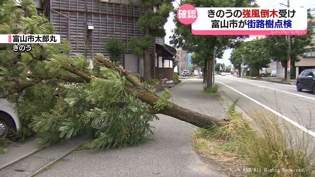 強風で街路樹倒れる被害 市が周辺の街路樹調査 富山県富山市
