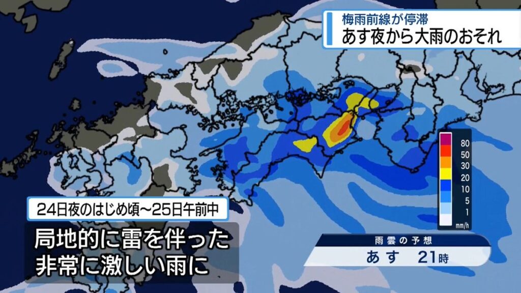 共有