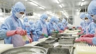 VIFTA協定の実施によって最も恩恵を受けるのはどの分野でしょうか?
