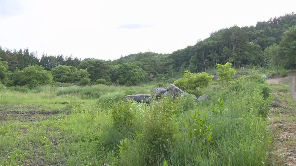 クマに頭かまれる 漆かきの男性けが クマ2頭と遭遇、1頭に襲われる 岩手(2026年6月18日掲載)|TVI NEWS NNN 共有