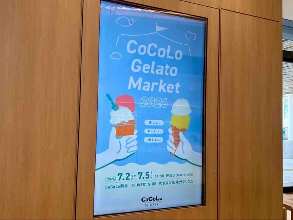 CoCoLo Gelato Market 2026