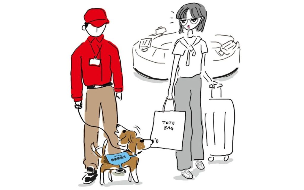 羽田空港でまさかの連行!? 胃弱エディターが〝逆ギレ〟した相手は… | Oggi.jp