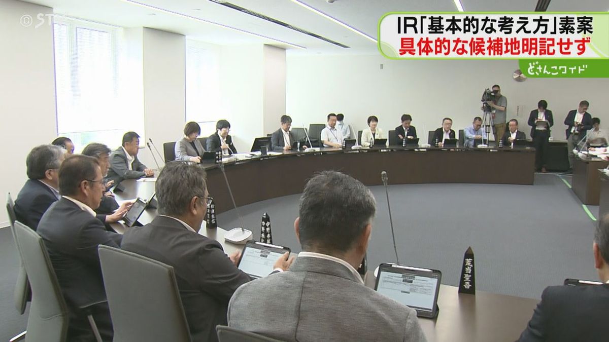 具体的な候補地は明記せず…IR「基本的な考え方」素案 10月までにまとめる方針 北海道