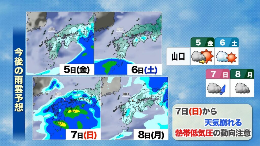 共有