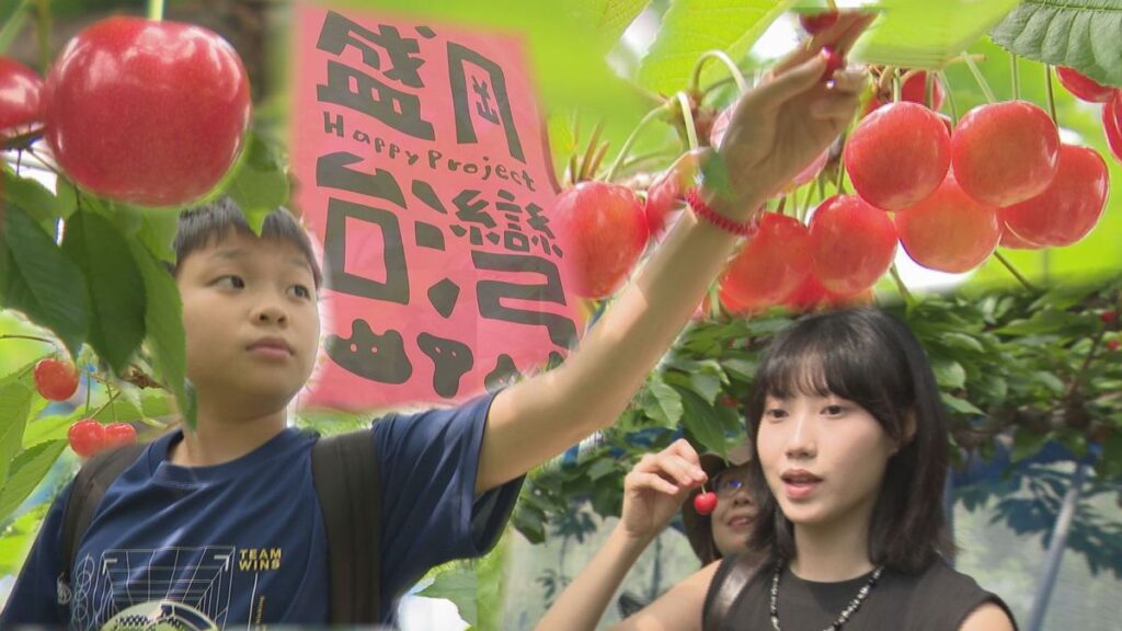 【人気】台湾からのツアー客さくらんぼ狩り楽しむ すでに予約多数、人気のワケは? 岩手・盛岡市(2026年6月18日掲載)|TVI NEWS NNN 共有