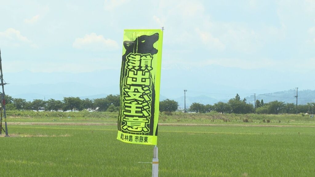 共有