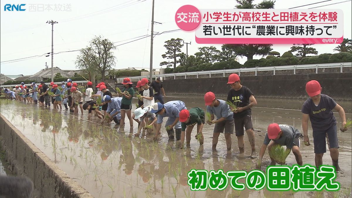小学生と高校生が昔ながらの田植えで交流 さぬき市