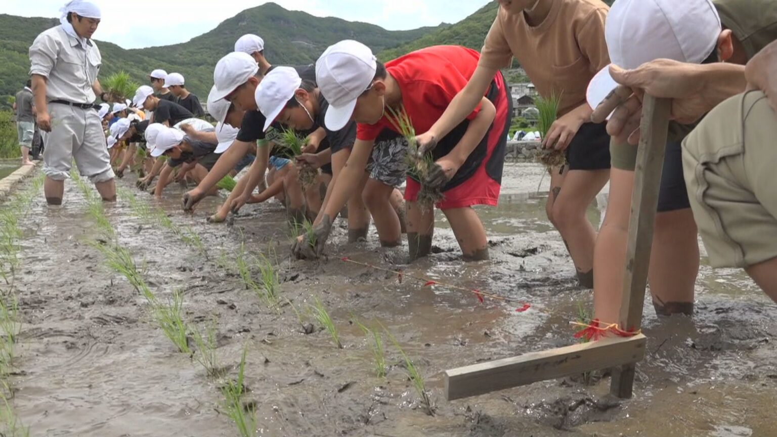 農業への関心持って…小学生が田植え体験 「いつも感謝して食べたい」 香川・土庄町 | KSBニュース | KSB瀬戸内海放送 農業への関心持って…小学生が田植え体験 「いつも感謝して食べたい」 香川・土庄町 | KSBニュース | KSB瀬戸内海放送