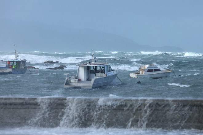 高さ11mの津波がニュージーランドを襲い、数百人が避難