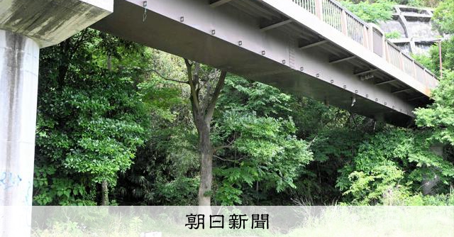 河川敷で見つかった女子高校生が死亡 19歳の男を殺人容疑で逮捕 [神奈川県] - 朝日新聞