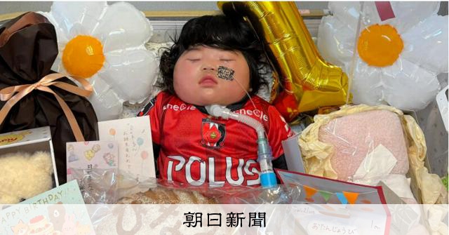 眠ったままの日七未 「胎児は人か」 家族が突きつけられた問い [愛知県] - 朝日新聞