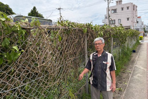 ホウライカガミを大切に 沖縄・南桃原 6年前から地域で育てる