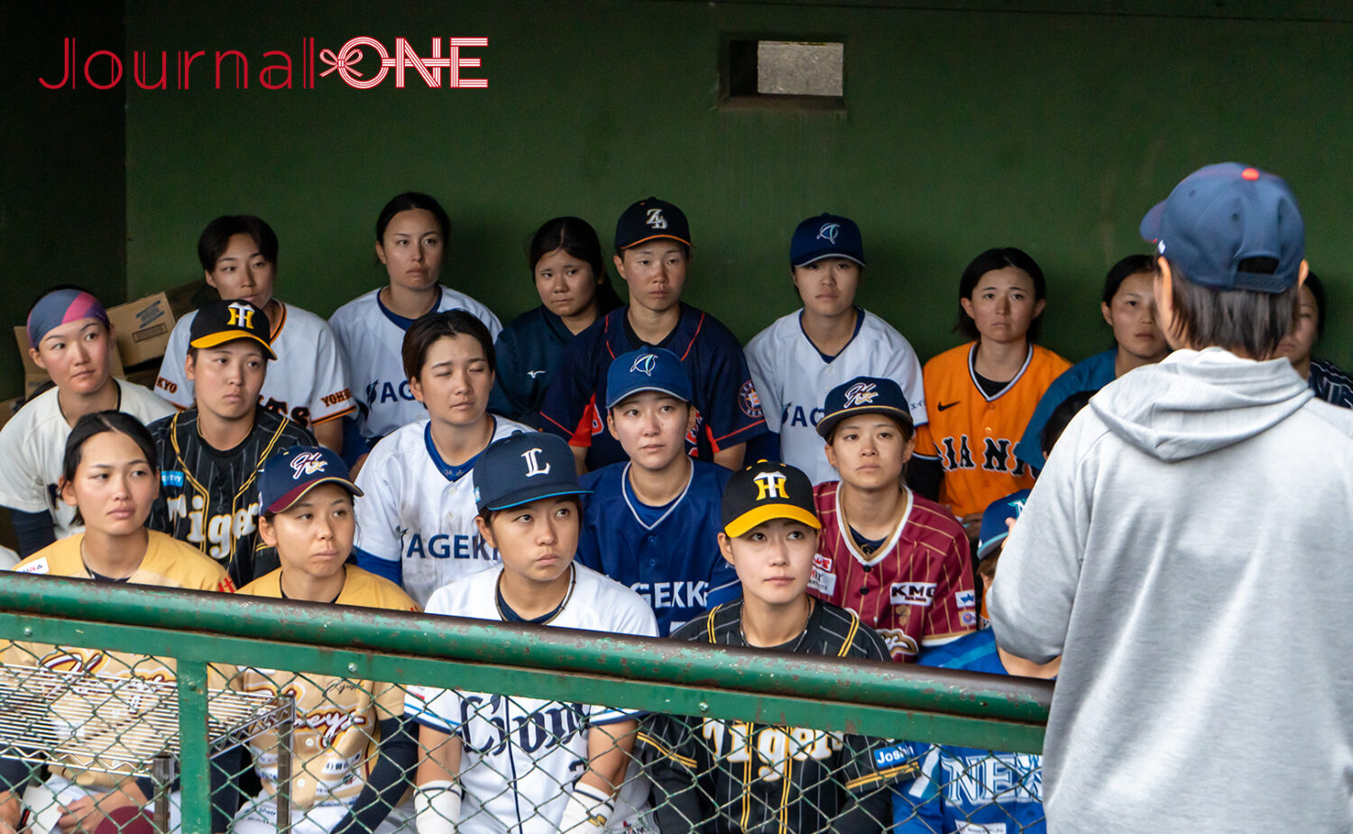 侍ジャパン女子 代表候補合宿を経て20名が発表-Journal-ONE撮影