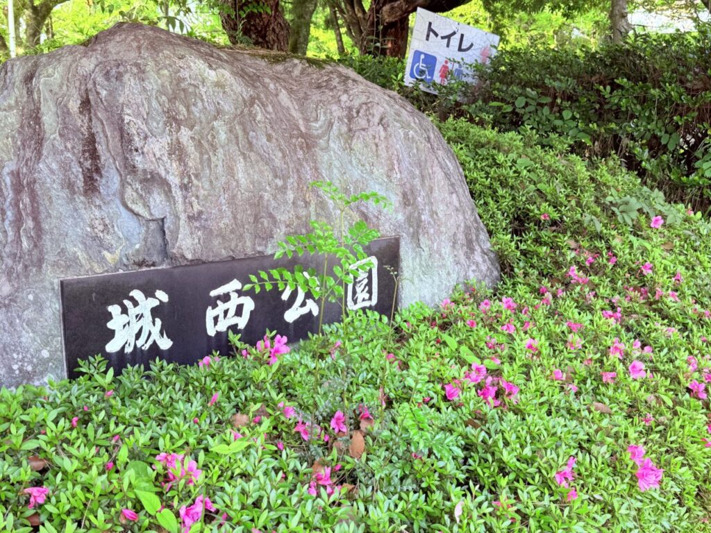 【高知市】いつの間にこんな名前に?市内で増えるネーミングライツ施設 | 号外NET 高知市 【高知市】いつの間にこんな名前に?市内で増えるネーミングライツ施設 | 号外NET 高知市
