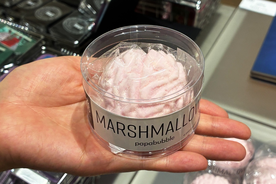 『エロティシズム』（ヘレン・チャドウィック）×キャンディショップ・PAPABUBBLEの「脳みそマシュマロ」（1000円）