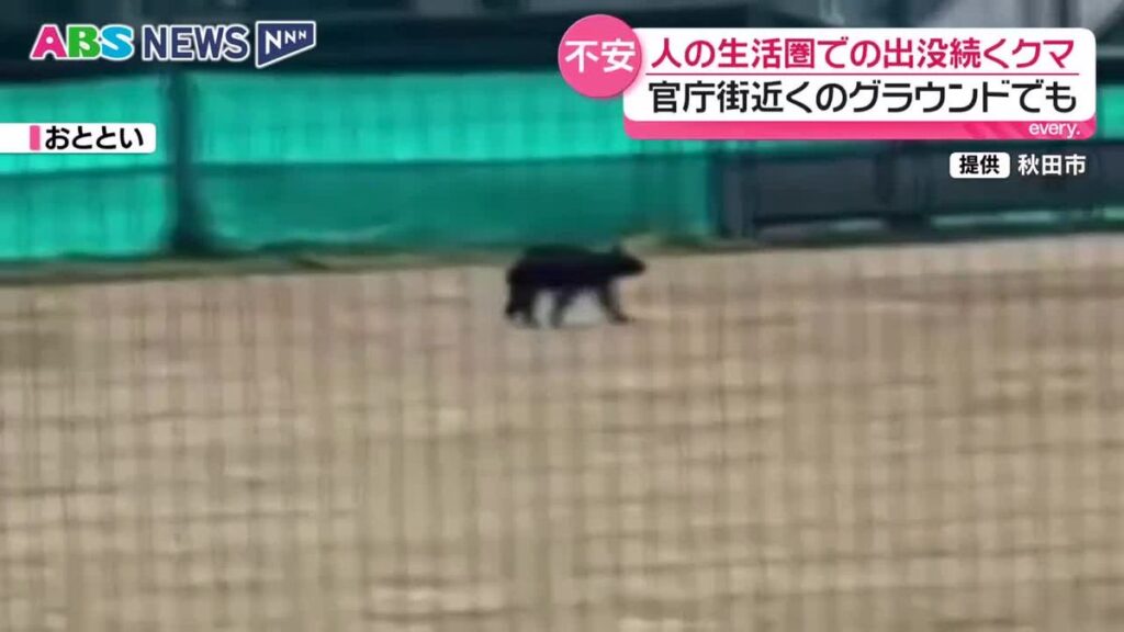 人の生活圏に姿を現し続けるクマ 秋田市では官庁街のすぐ近くや八橋地区にも 30日も住宅地での目撃が相次ぐ 秋田(2026年6月30日掲載)|ABS NEWS NNN 共有