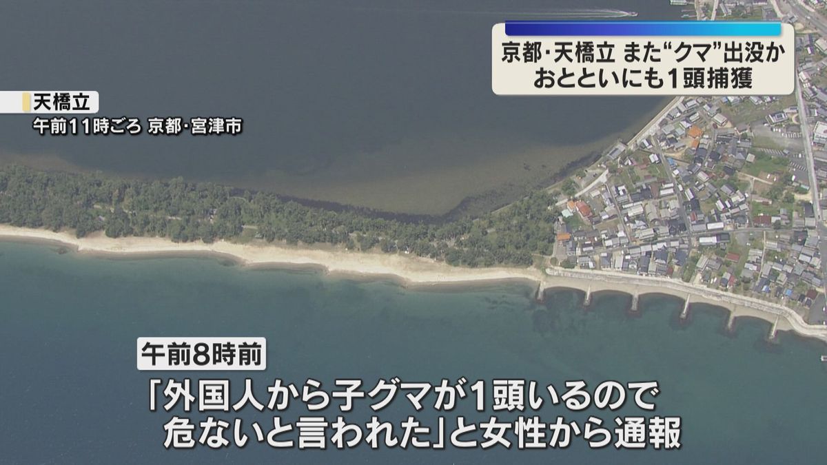京都「天橋立」でまたクマか…一昨日10日に目撃後、1頭捕獲　神戸でもカメラに初確認　目撃増加傾向